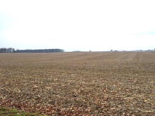 Property photo 1 - LAND AUCTION - 54.1+/- ACRES OFFERED IN 2 TRACTS IN NOBLE COUNTY, INDIANA